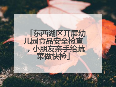 东西湖区开展幼儿园食品安全检查，小朋友亲手给蔬菜做快检