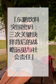 东鹏饮料突围密码：三次关键抉择背后的战略远见与社会责任