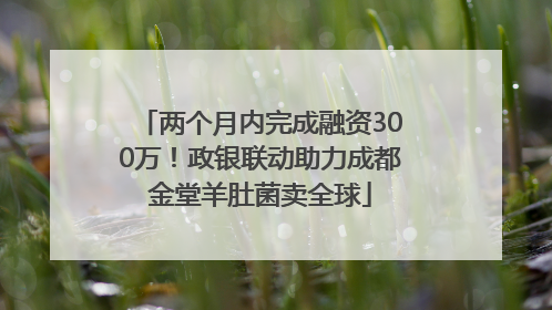 两个月内完成融资300万！政银联动助力成都金堂羊肚菌卖全球
