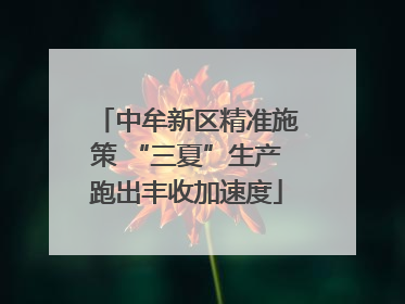中牟新区精准施策 “三夏”生产跑出丰收加速度