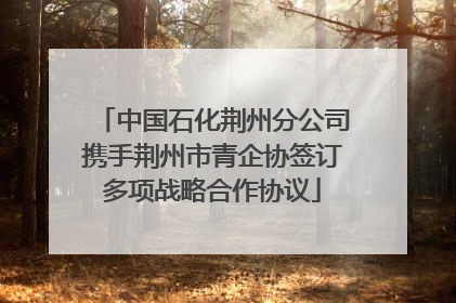 中国石化荆州分公司携手荆州市青企协签订多项战略合作协议