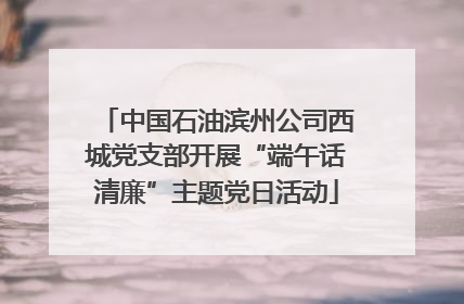 中国石油滨州公司西城党支部开展“端午话清廉”主题党日活动