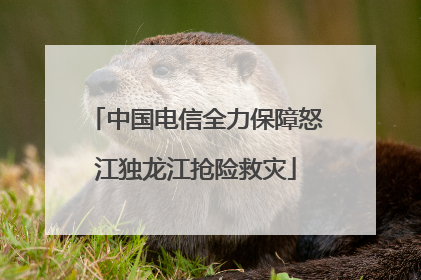 中国电信全力保障怒江独龙江抢险救灾