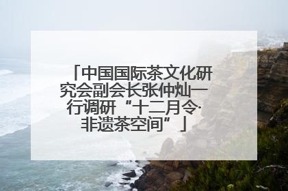 中国国际茶文化研究会副会长张仲灿一行调研“十二月令·非遗茶空间”