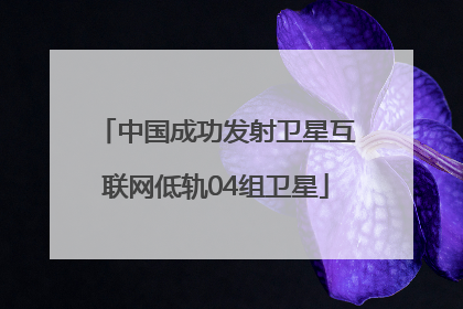 中国成功发射卫星互联网低轨04组卫星