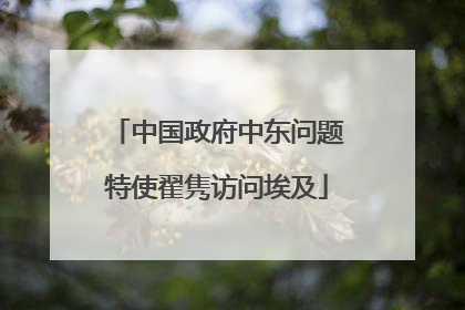 中国政府中东问题特使翟隽访问埃及