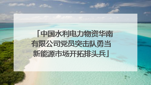 中国水利电力物资华南有限公司党员突击队勇当新能源市场开拓排头兵