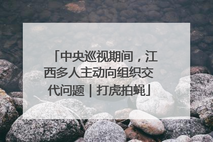 中央巡视期间，江西多人主动向组织交代问题｜打虎拍蝇