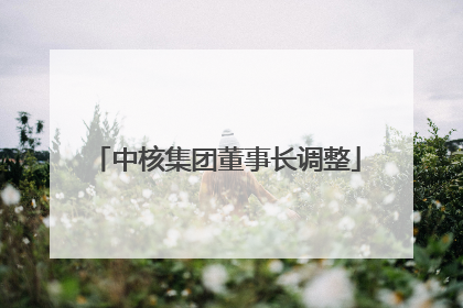 中核集团董事长调整