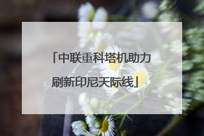 中联重科塔机助力刷新印尼天际线