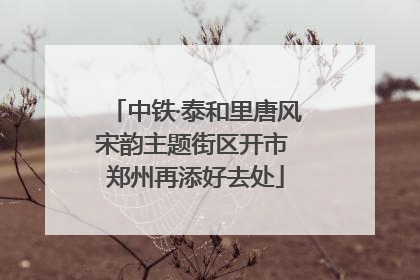 中铁·泰和里唐风宋韵主题街区开市 郑州再添好去处