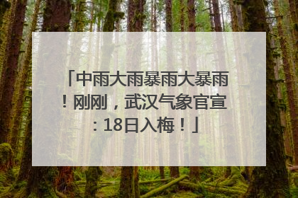 中雨大雨暴雨大暴雨！刚刚，武汉气象官宣：18日入梅！