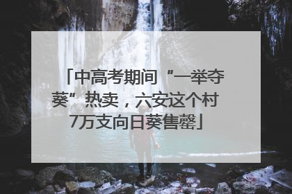 中高考期间“一举夺葵”热卖，六安这个村7万支向日葵售罄