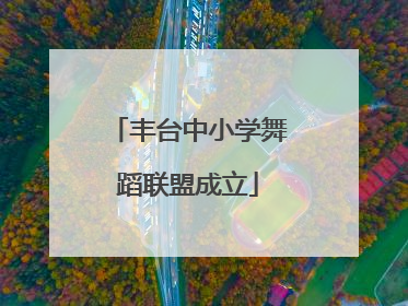 丰台中小学舞蹈联盟成立