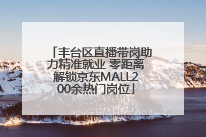 丰台区直播带岗助力精准就业 零距离解锁京东MALL200余热门岗位