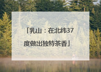 乳山：在北纬37度做出独特茶香