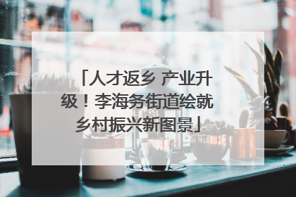 人才返乡 产业升级！李海务街道绘就乡村振兴新图景