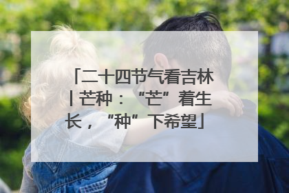 二十四节气看吉林丨芒种：“芒”着生长，“种”下希望