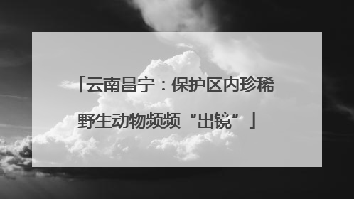 云南昌宁：保护区内珍稀野生动物频频“出镜”