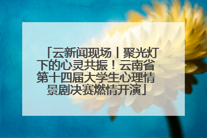 云新闻现场丨聚光灯下的心灵共振！云南省第十四届大学生心理情景剧决赛燃情开演