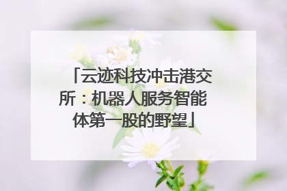 云迹科技冲击港交所：机器人服务智能体第一股的野望