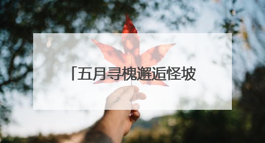 五月寻槐邂逅怪坡，沈北新区中医院国潮中医雅集引热潮
