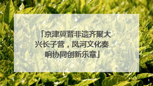 京津冀晋非遗齐聚大兴长子营，凤河文化奏响协同创新乐章