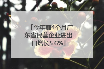 今年前4个月广东省民营企业进出口增长5.6%