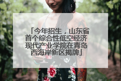 今年招生，山东省首个综合性低空经济现代产业学院在青岛西海岸新区揭牌