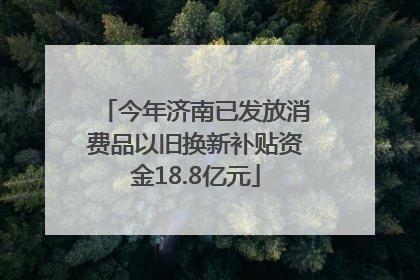 今年济南已发放消费品以旧换新补贴资金18.8亿元