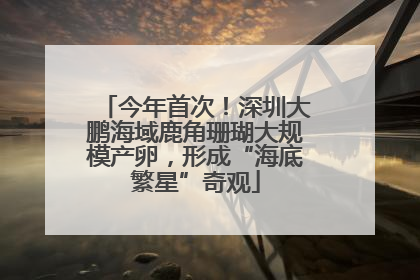 今年首次！深圳大鹏海域鹿角珊瑚大规模产卵，形成“海底繁星”奇观