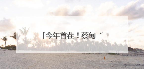 今年首茬！蔡甸“水果莲藕”上市