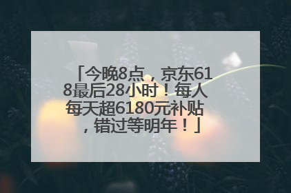 今晚8点，京东618最后28小时！每人每天超6180元补贴，错过等明年！