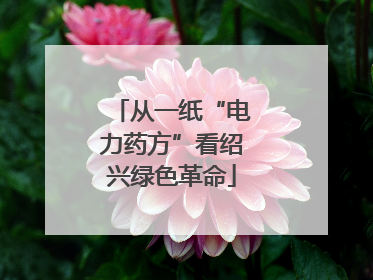 从一纸“电力药方”看绍兴绿色革命