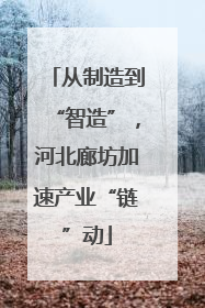 从制造到“智造”，河北廊坊加速产业“链”动