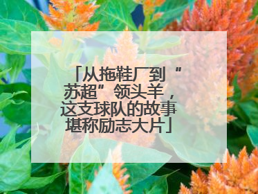 从拖鞋厂到“苏超”领头羊，这支球队的故事堪称励志大片