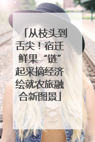 从枝头到舌尖！宿迁鲜果“链”起采摘经济绘就农旅融合新图景