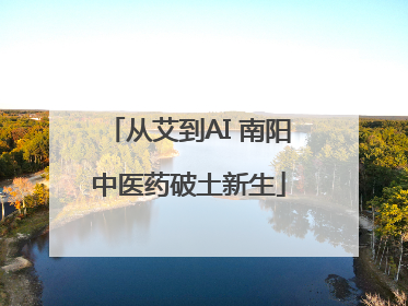 从艾到AI 南阳中医药破土新生
