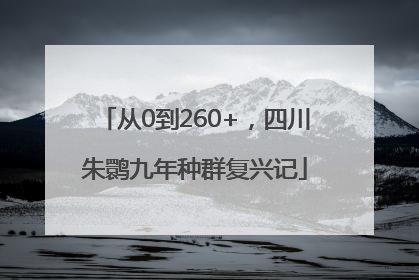 从0到260+，四川朱鹮九年种群复兴记