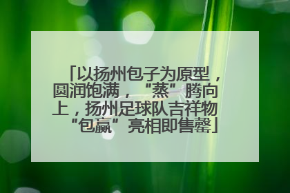 以扬州包子为原型，圆润饱满，“蒸”腾向上，扬州足球队吉祥物“包赢”亮相即售罄