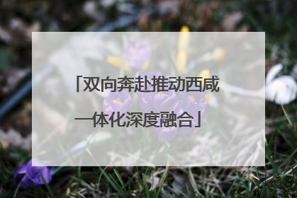 双向奔赴推动西咸一体化深度融合