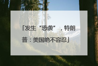 发生“恐袭”，特朗普：美国绝不容忍