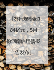 发行规模超184亿元，5月份河南信用债报告发布