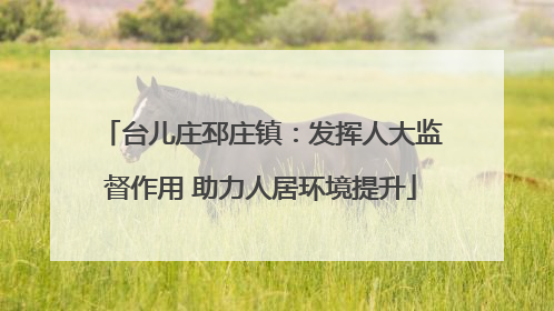 台儿庄邳庄镇：发挥人大监督作用 助力人居环境提升