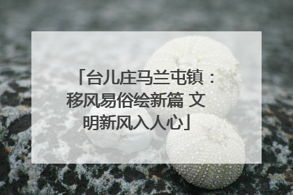 台儿庄马兰屯镇：移风易俗绘新篇 文明新风入人心