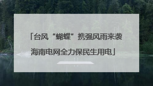 台风“蝴蝶”携强风雨来袭 海南电网全力保民生用电