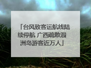 台风致客运航线陆续停航 广西疏散涠洲岛游客近万人