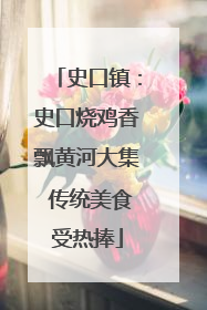 史口镇：史口烧鸡香飘黄河大集 传统美食受热捧