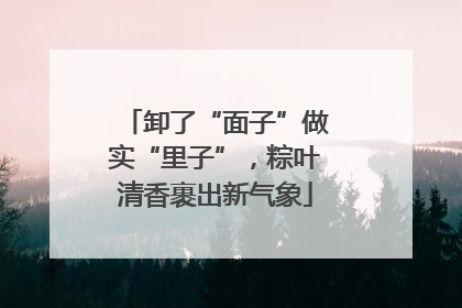 卸了“面子”做实“里子”，粽叶清香裹出新气象