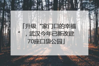 升级“家门口的幸福”，武汉今年已新改建70座口袋公园